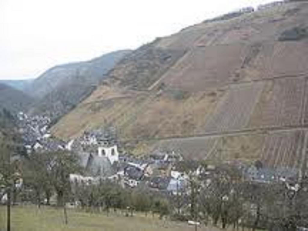 Steeger Tal Hotel Bacharach Buitenkant foto